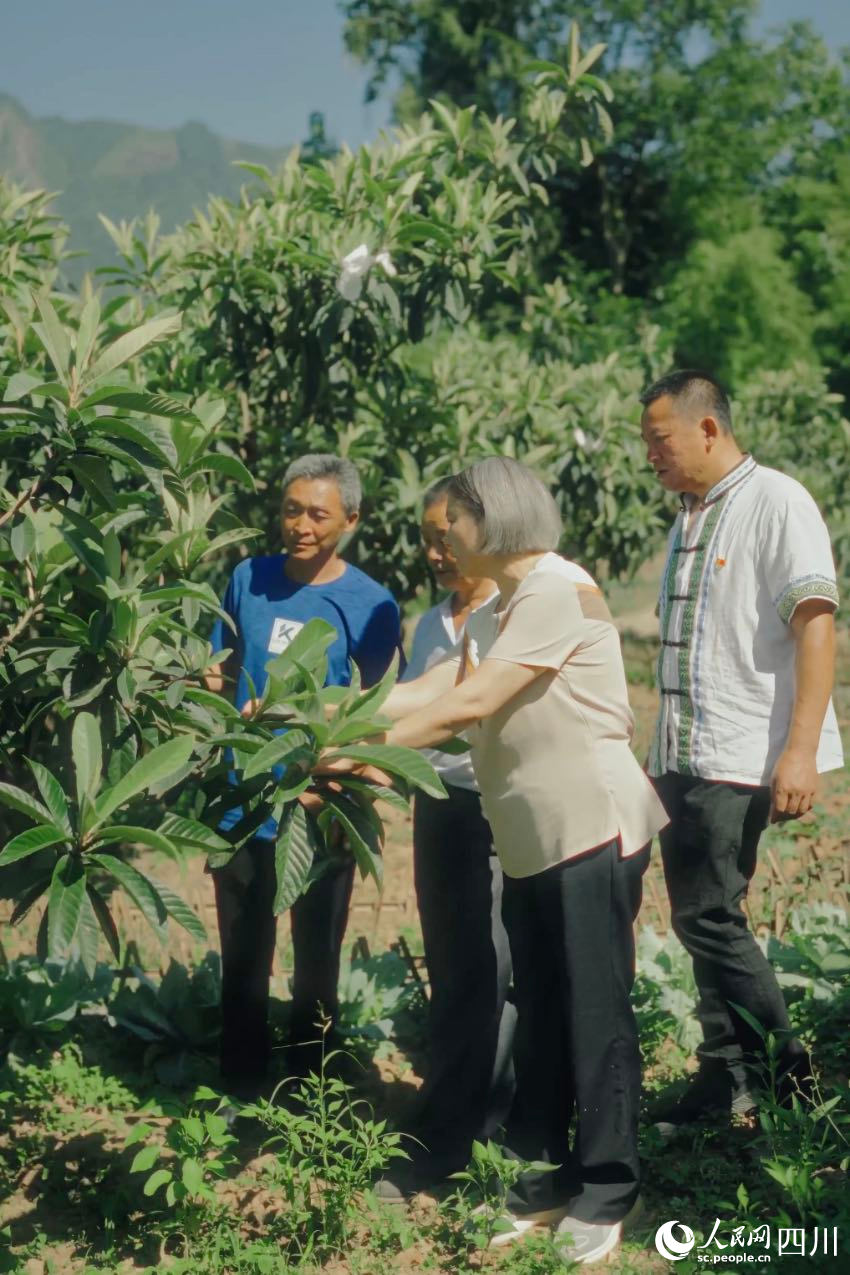 綿陽市農科院研究員任茂瓊（前排左一）在果園里，手把手給農戶演示如何修枝。人民網記者 張若涵攝